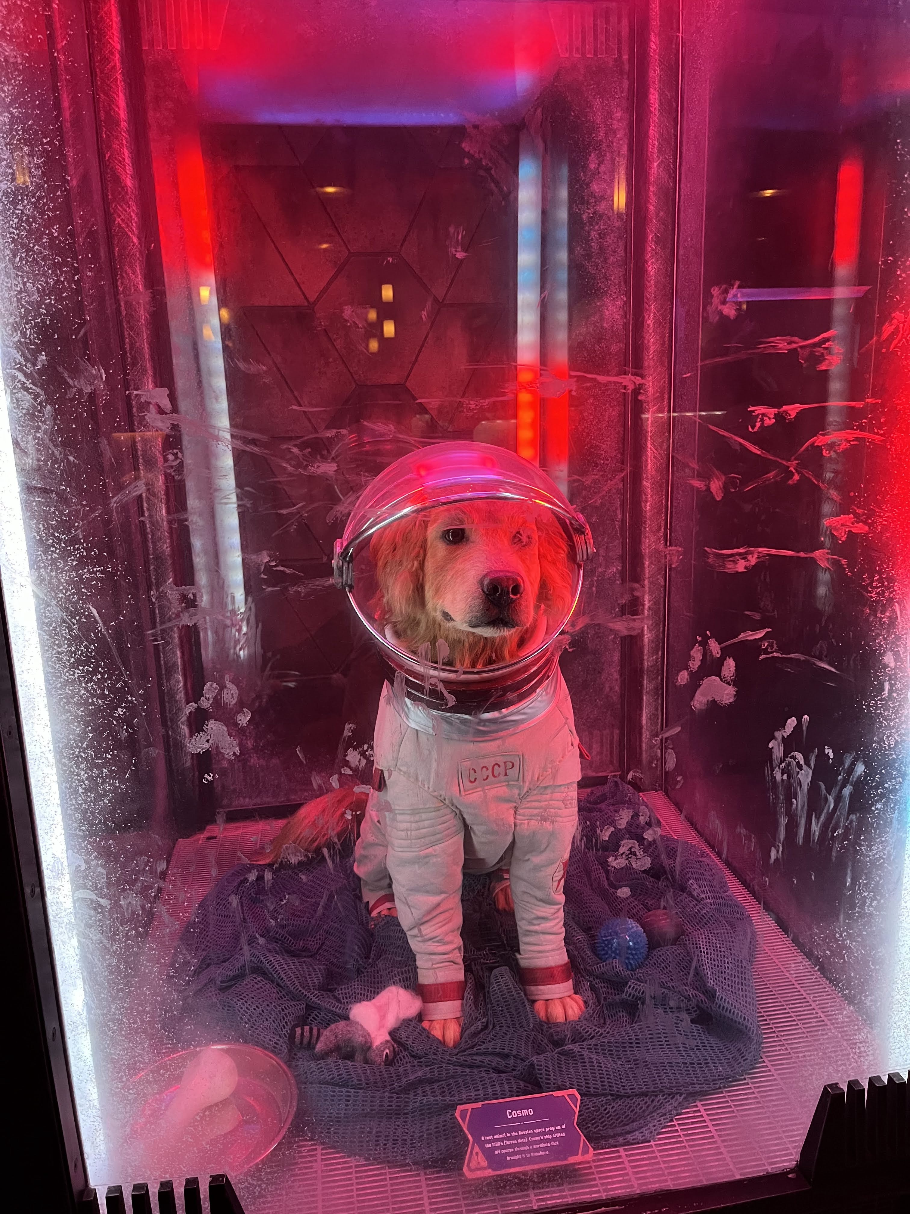 Guardians of the Galaxy - Mission: BREAKOUT!