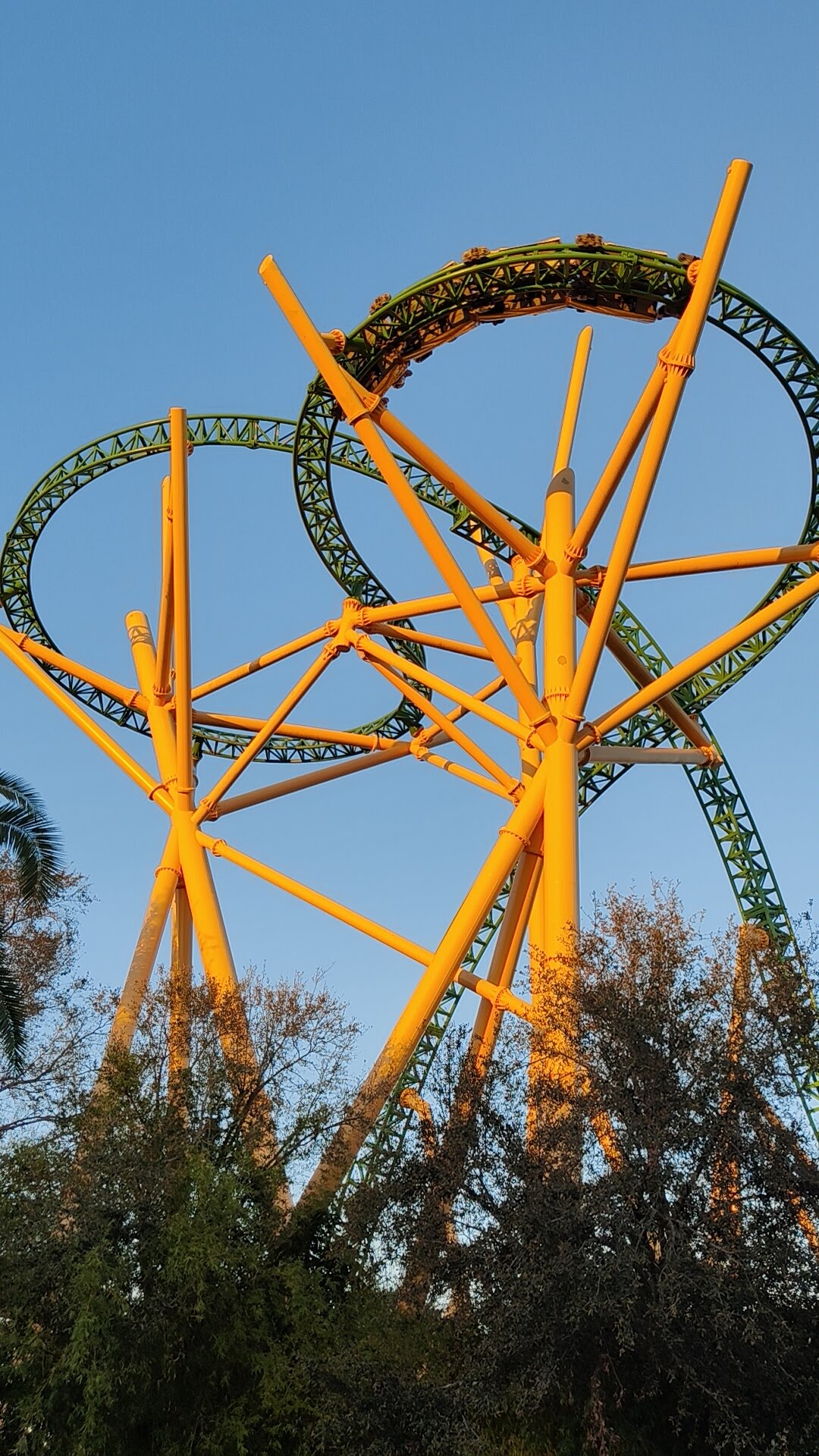 Cheetah Hunt à Busch Gardens