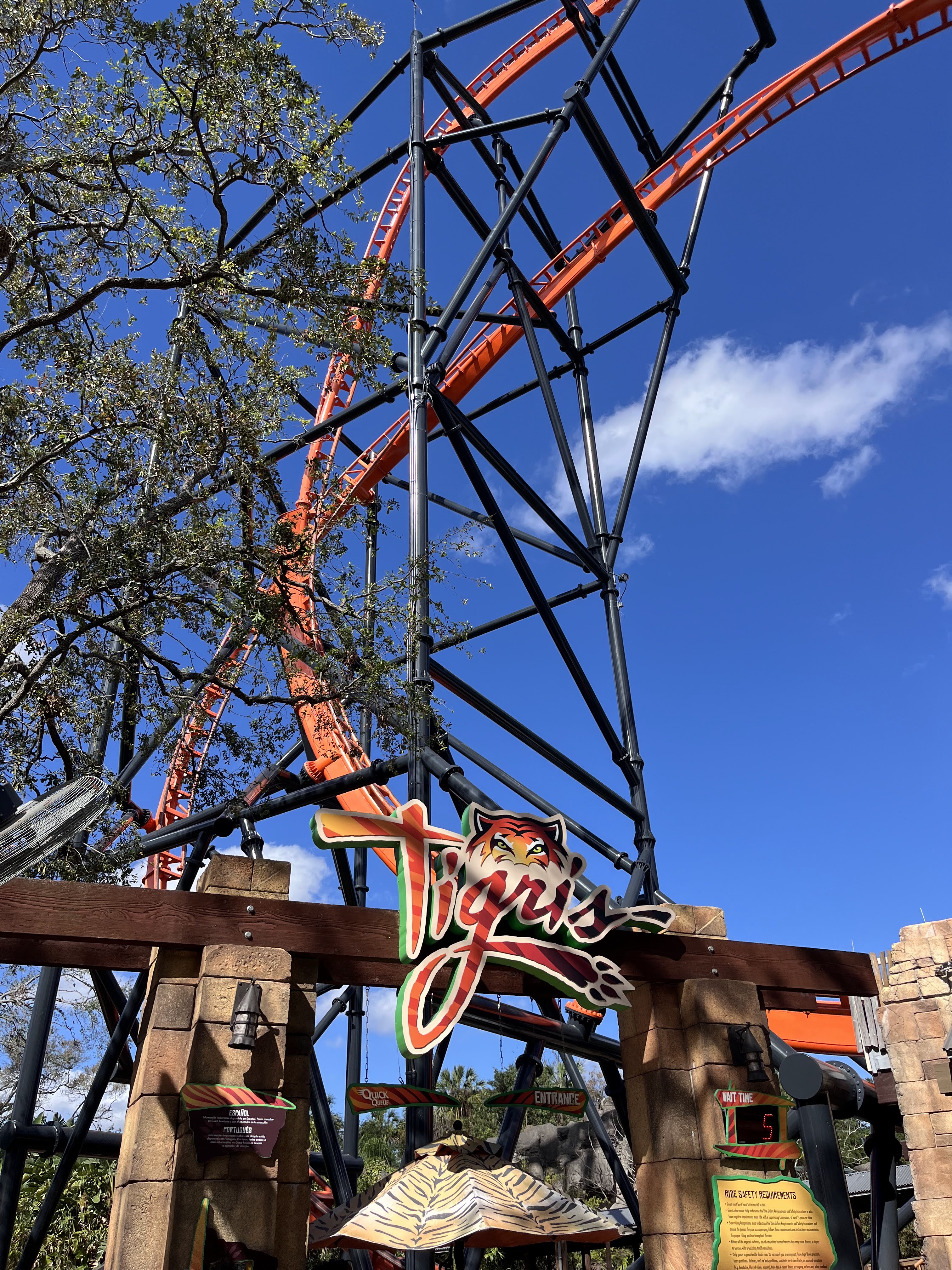 Tigris à Busch Gardens