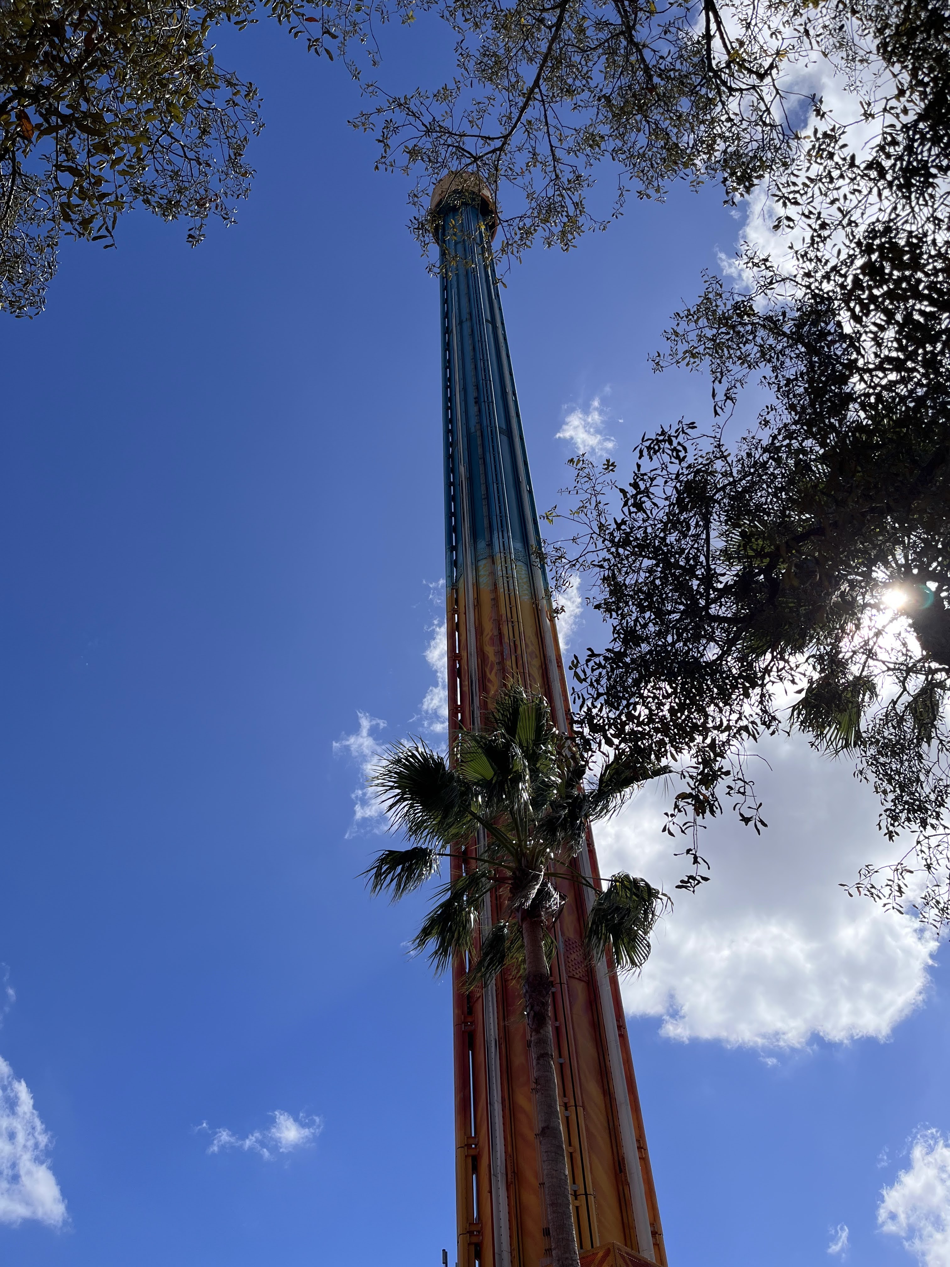 Falcon's Fury à Busch Gardens