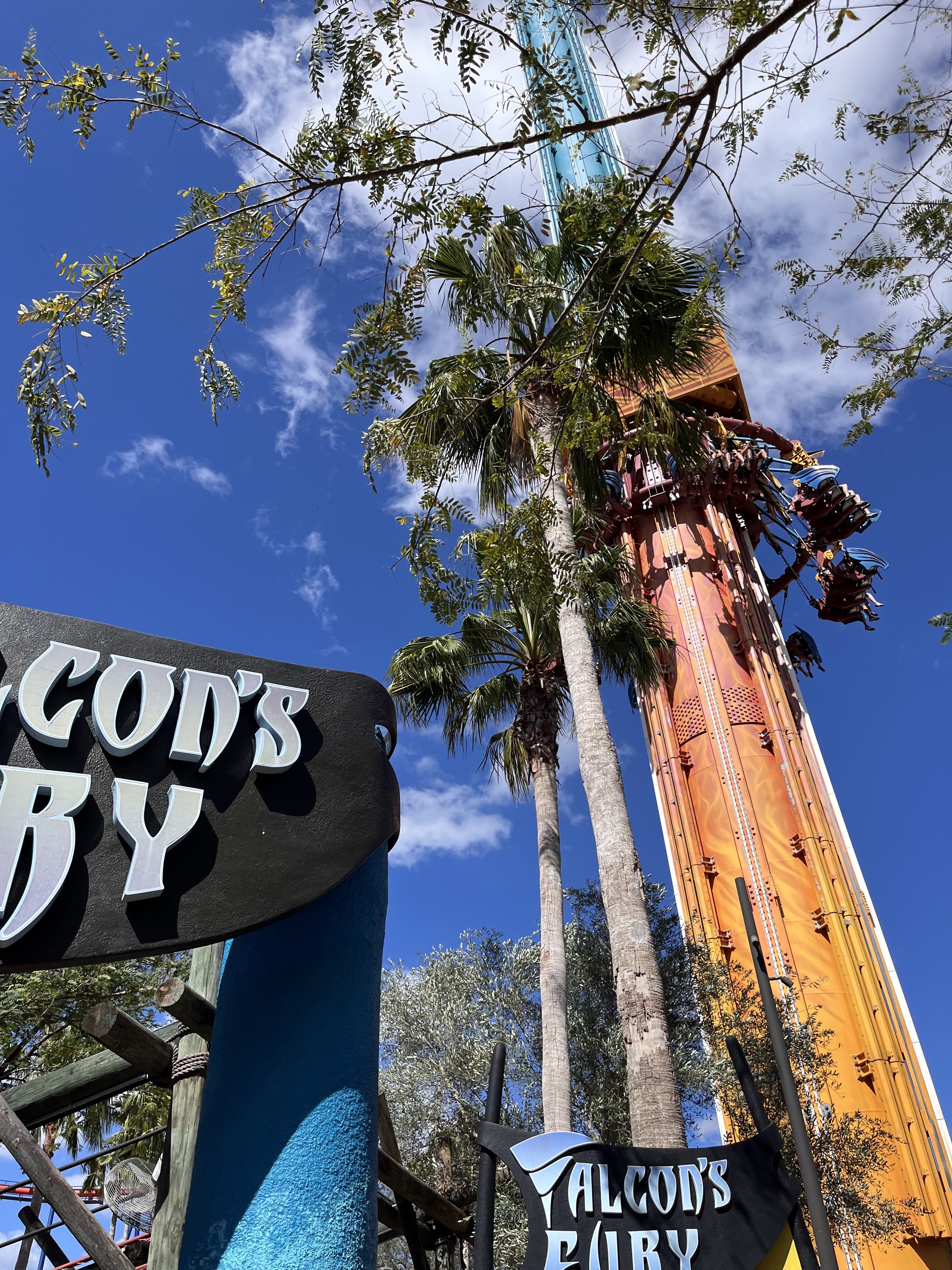 Falcon's Fury à Busch Gardens