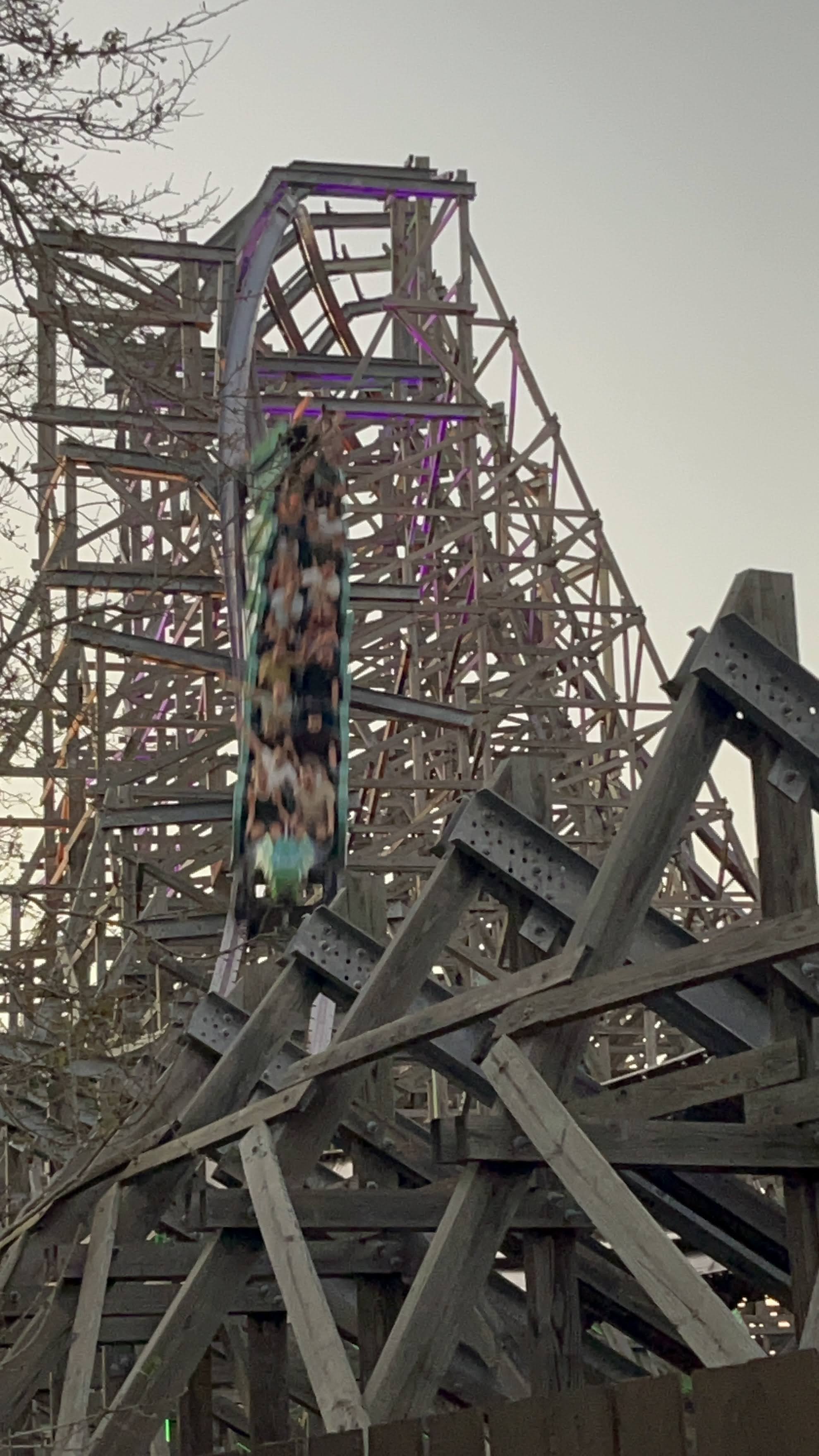 Iron Gwazi à Busch Gardens