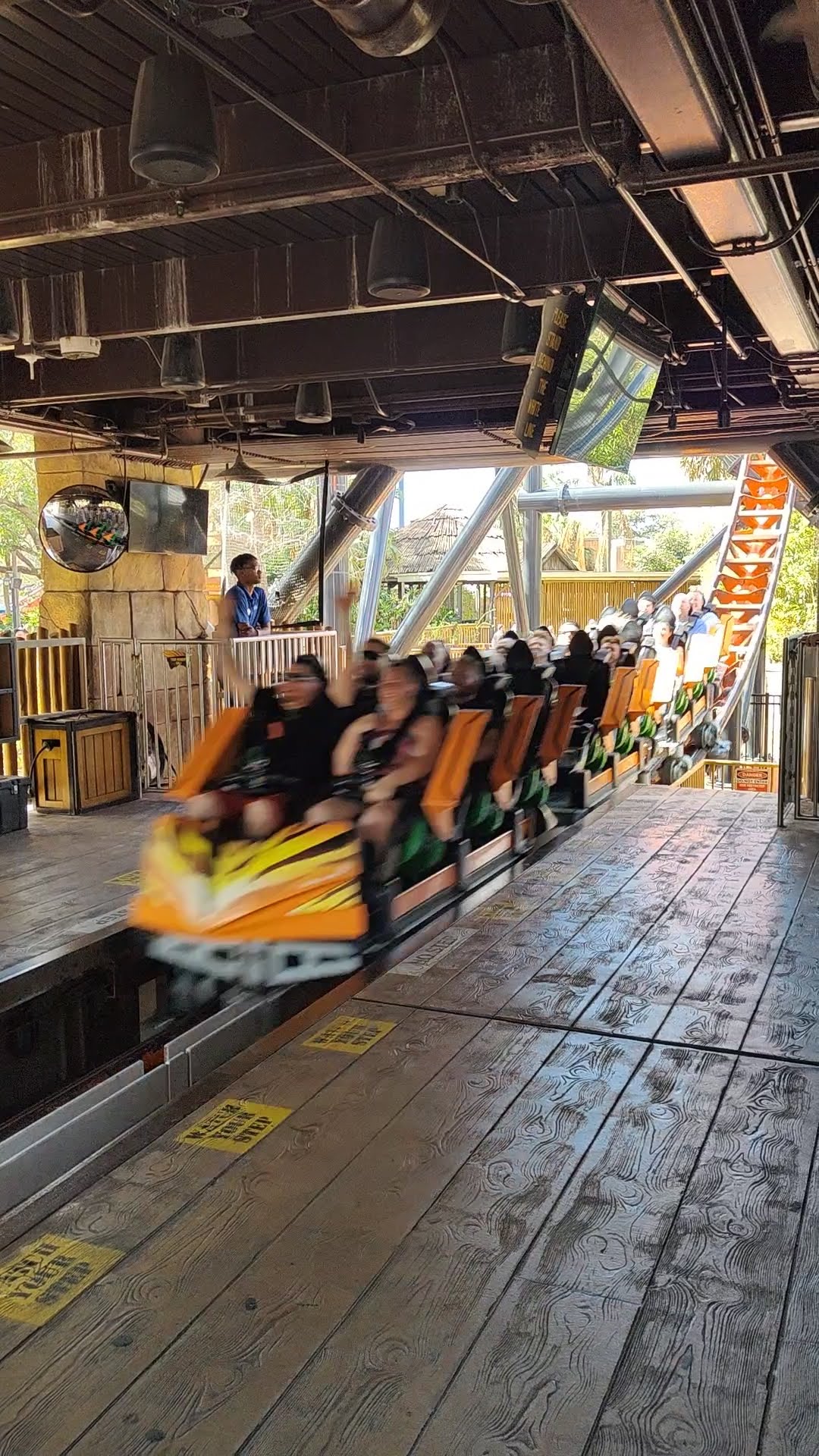 Tigris à Busch Gardens