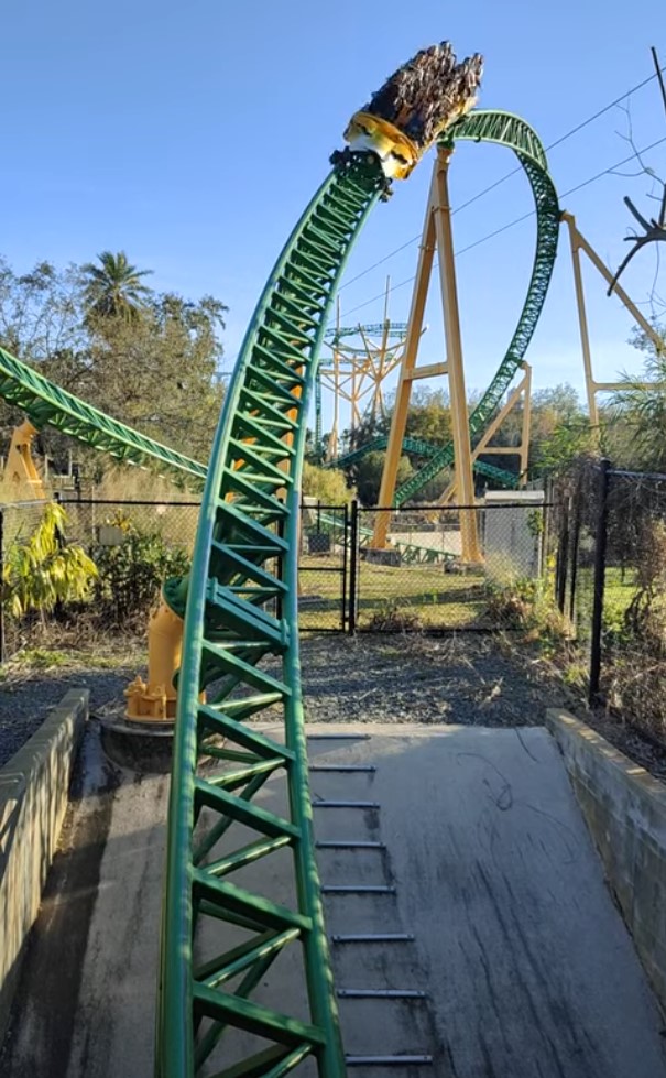 Cheetah Hunt à Busch Gardens