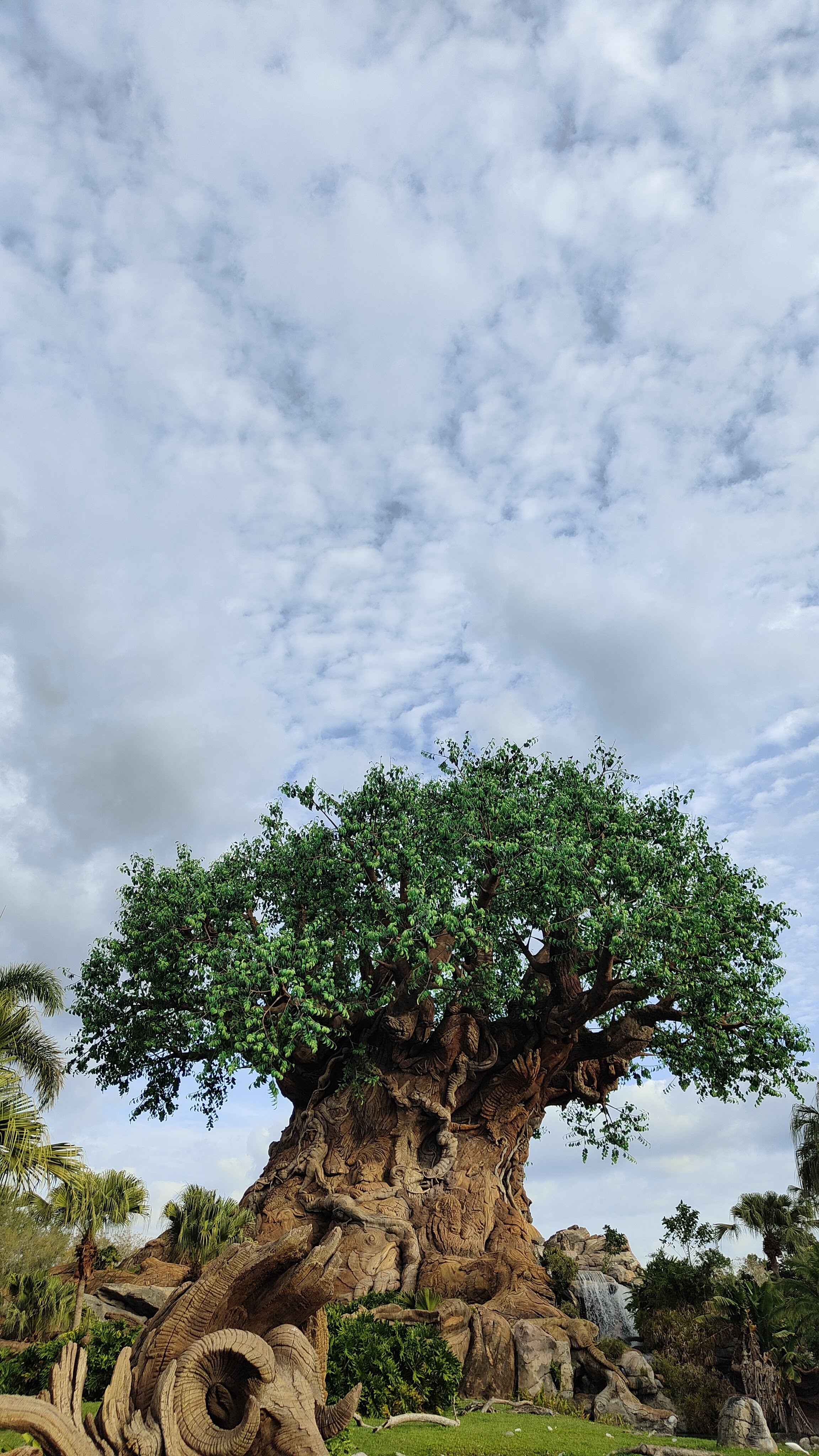 L'arbre de Vie à Disney's Animal Kingdom