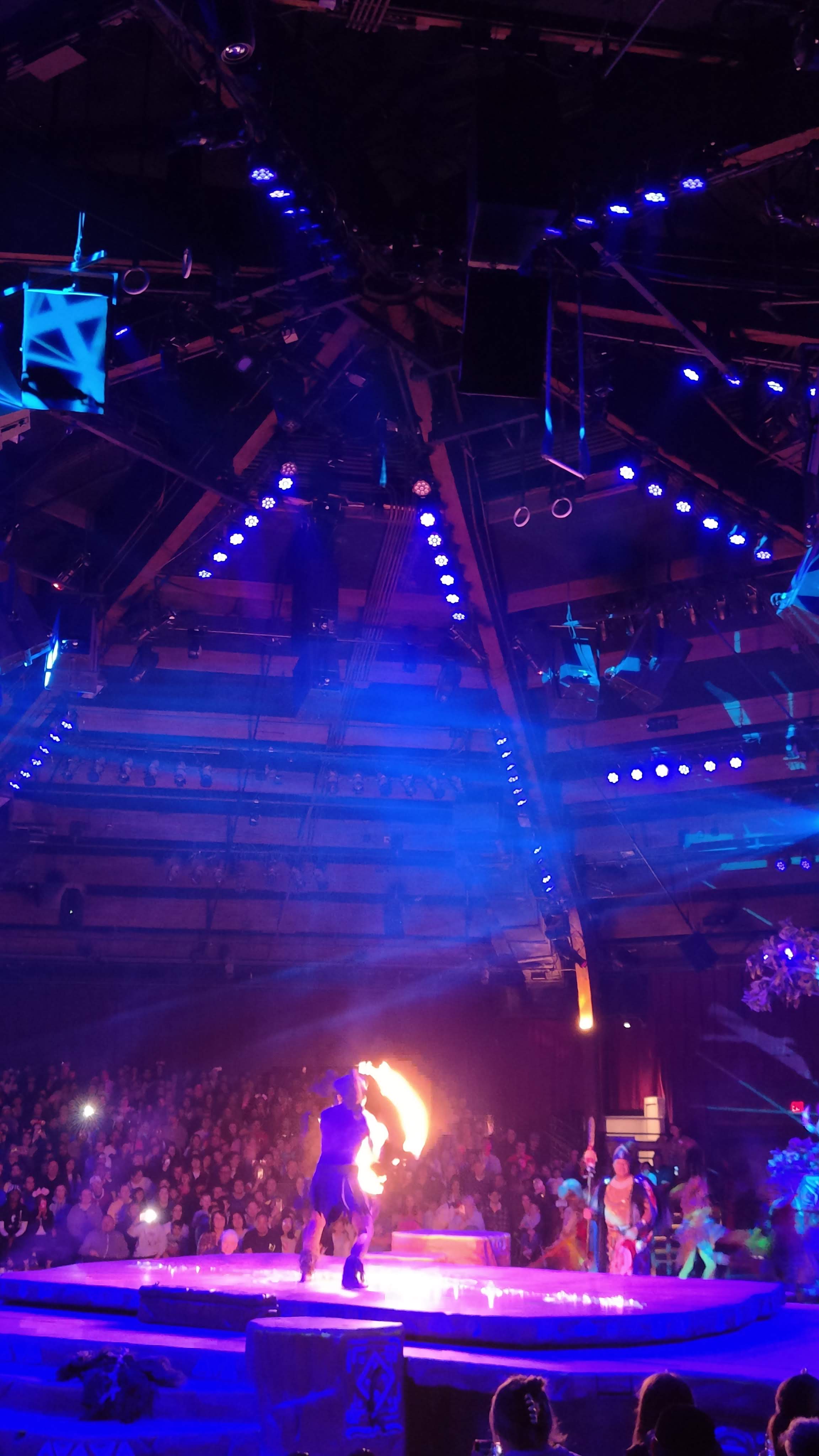 Festival of the Lion King à Disney's Animal Kingdom