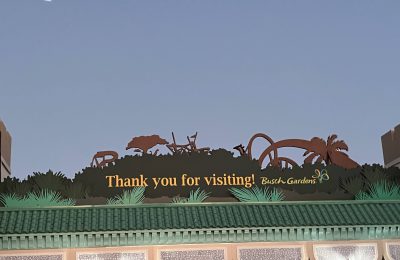Busch Gardens Tampa