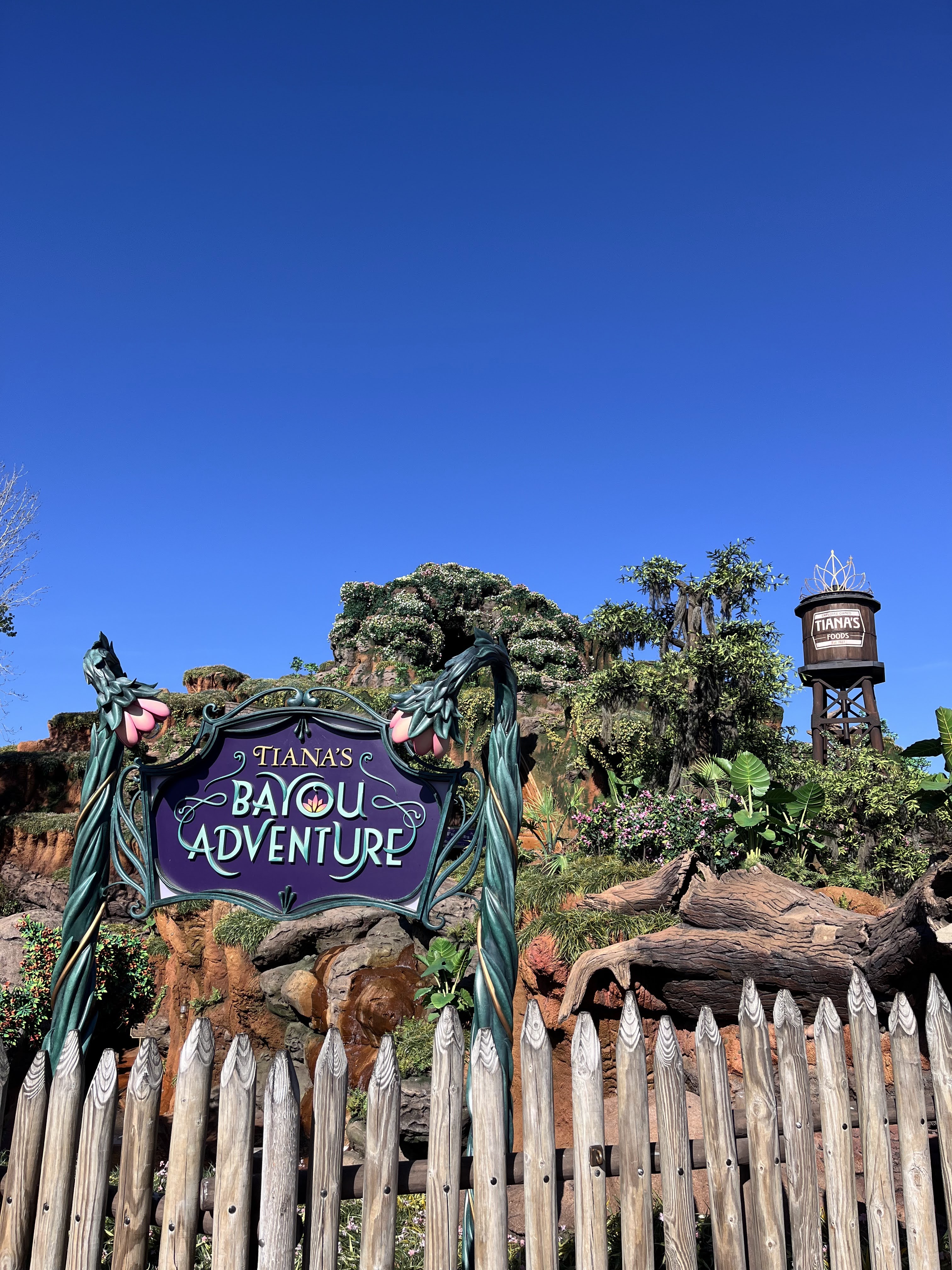 Tiana's Bayou Adventure à Magic Kingdom