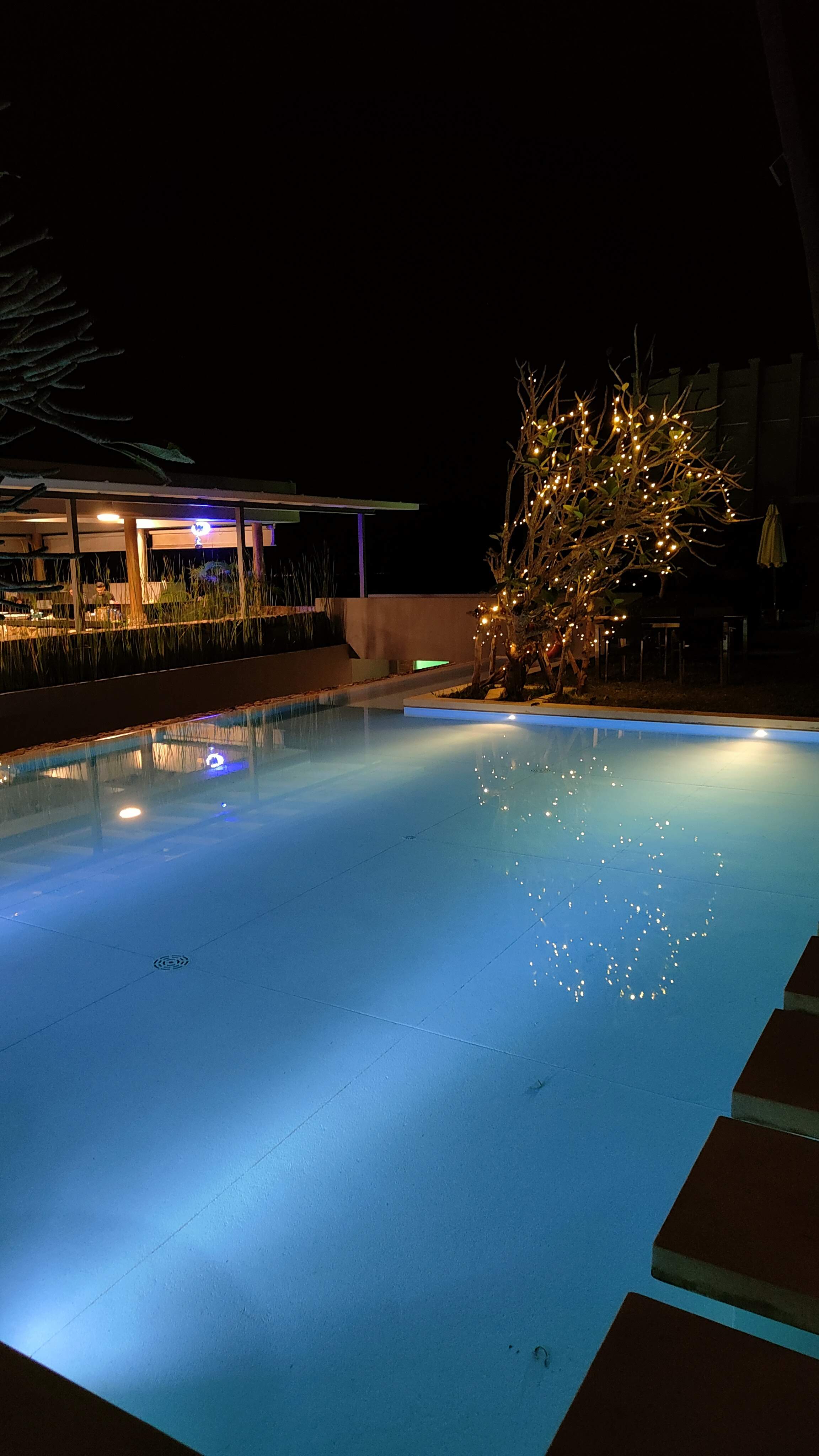 Restaurant Panorama pour Noël