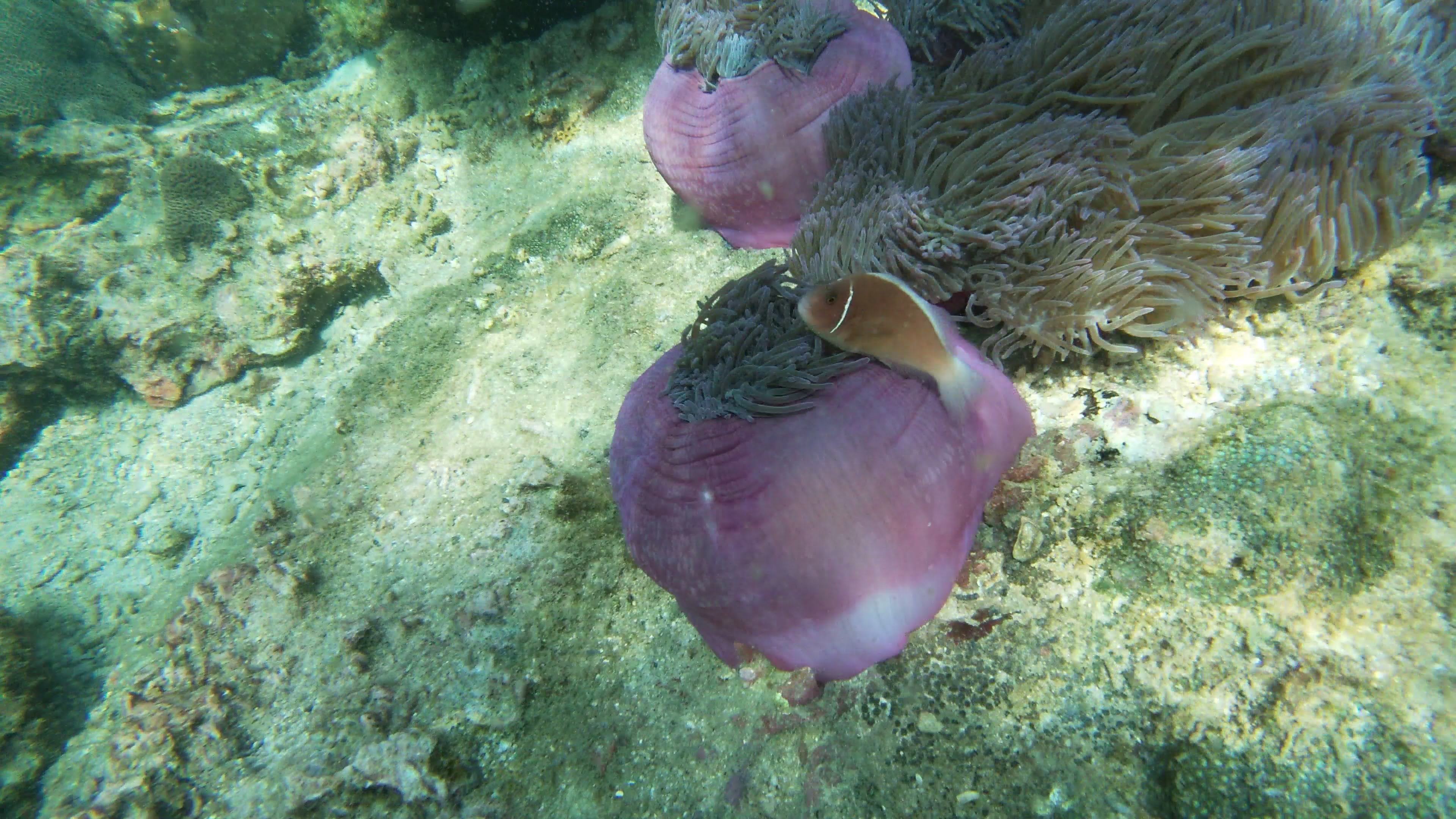 Ang Thong National Marine Park